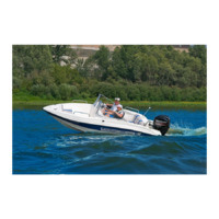 Стеклопластиковый катер Wyatboat-3  DC